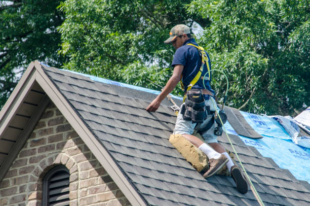 Best Roof Gutter Cleaning  in Nettleton, MS